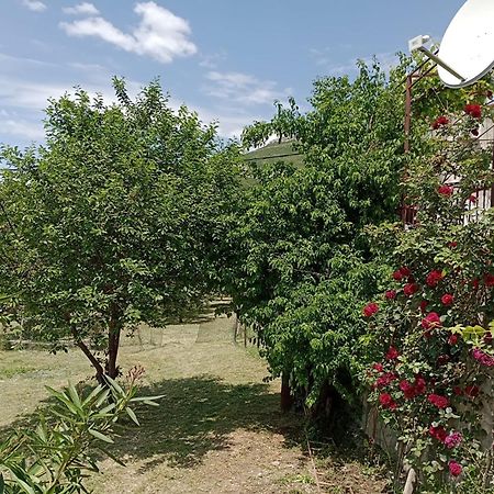 Apartment Natali Kastel Stari Exterior photo